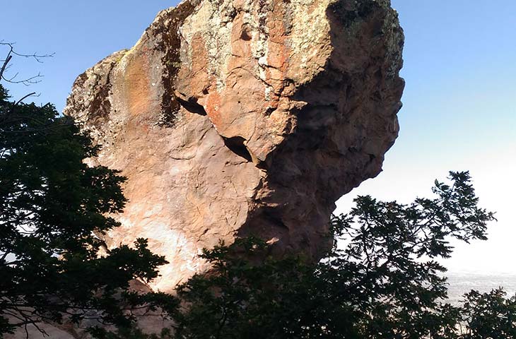 Bireysel Terapi Konya