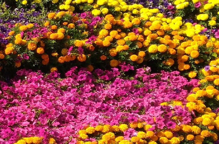 Eş ve Evlilik Terapisi Konya