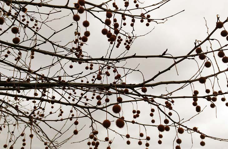 Konya Psikolojik Danışma Merkezleri